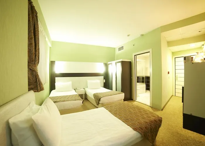 Saffron Hotel 4* Ankara