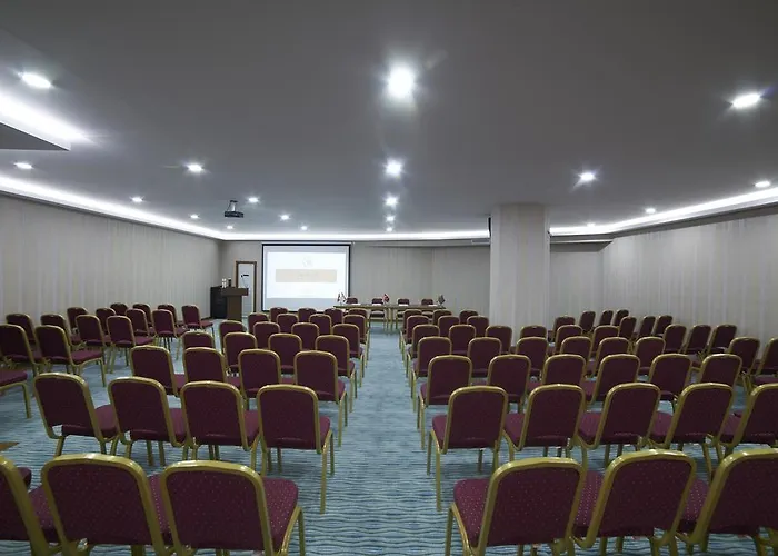 Saffron Hotel 4* Ankara