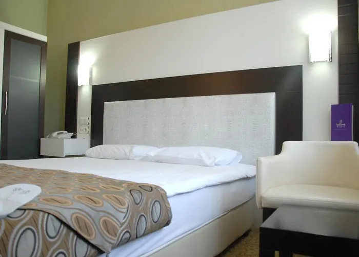 Saffron Hotel 4* Ankara