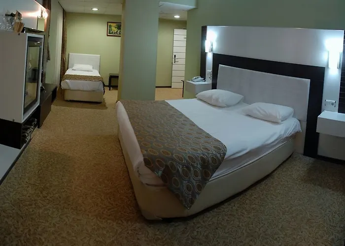 Saffron Hotel 4* Ankara